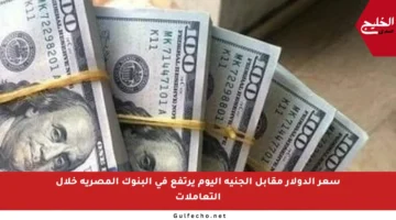سعر الدولار مقابل الجنيه اليوم يرتفع في البنوك المصرية خلال التعاملات